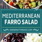 Farro Salad Recipe | Healthy Salad #salad #healthy #cleaneating #farro #dinner #ezlod