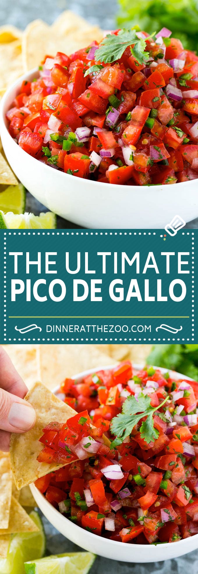 Pico de Gallo Recipe | Homemade Salsa Recipe | Salsa Fresca Recipe #salsa #salsafresca #picodegallo #snack #appetizer #ezlod