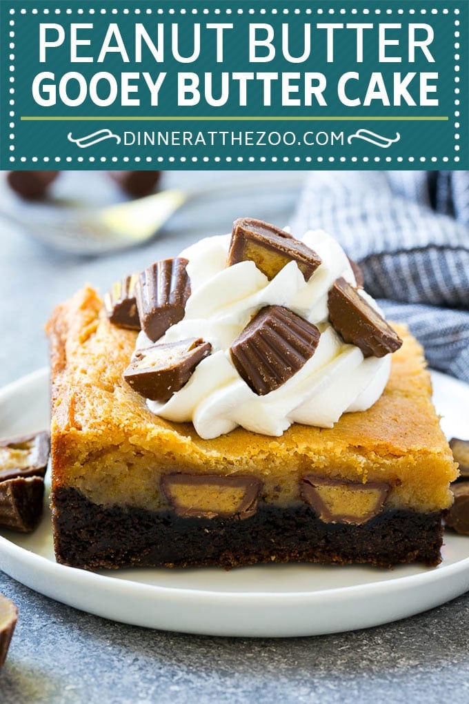 Peanut Butter Chocolate Gooey Butter Cake Recipe | Gooey Butter Cake | Peanut Butter Cake | Chocolate Peanut Butter Cake #cake #butter #peanutbutter #chocolate #dessert #ezlod
