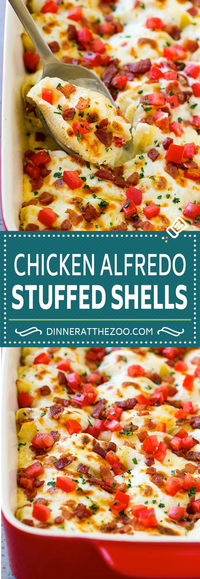 Chicken Alfredo Stuffed Shells Recipe | Stuffed Shells | Chicken Stuffed Shells | Baked Pasta #stuffedshells #alfredo #chicken #pasta #cheese #dinner #ezlod