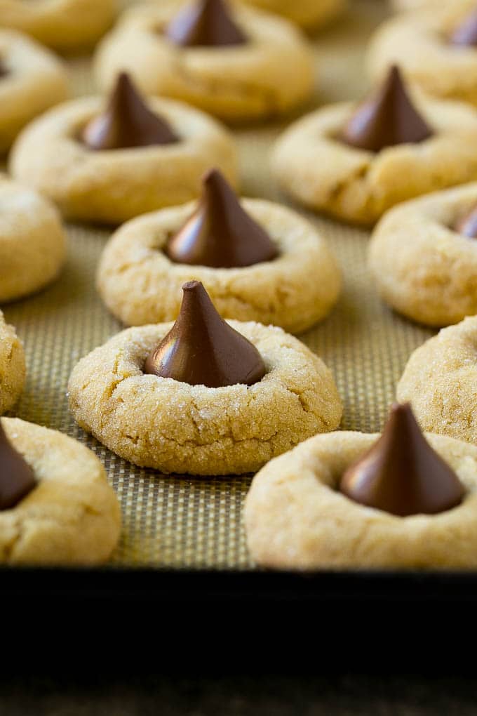 Peanut Butter Blossoms Recipe | Hershey Kiss Cookies | Chocolate Peanut Butter Cookies #cookies #peanutbutter #chocolate #dessert #baking #christmas #christmascookies #ezlod Baked peanut butter blossom cookies on a sheet pan.