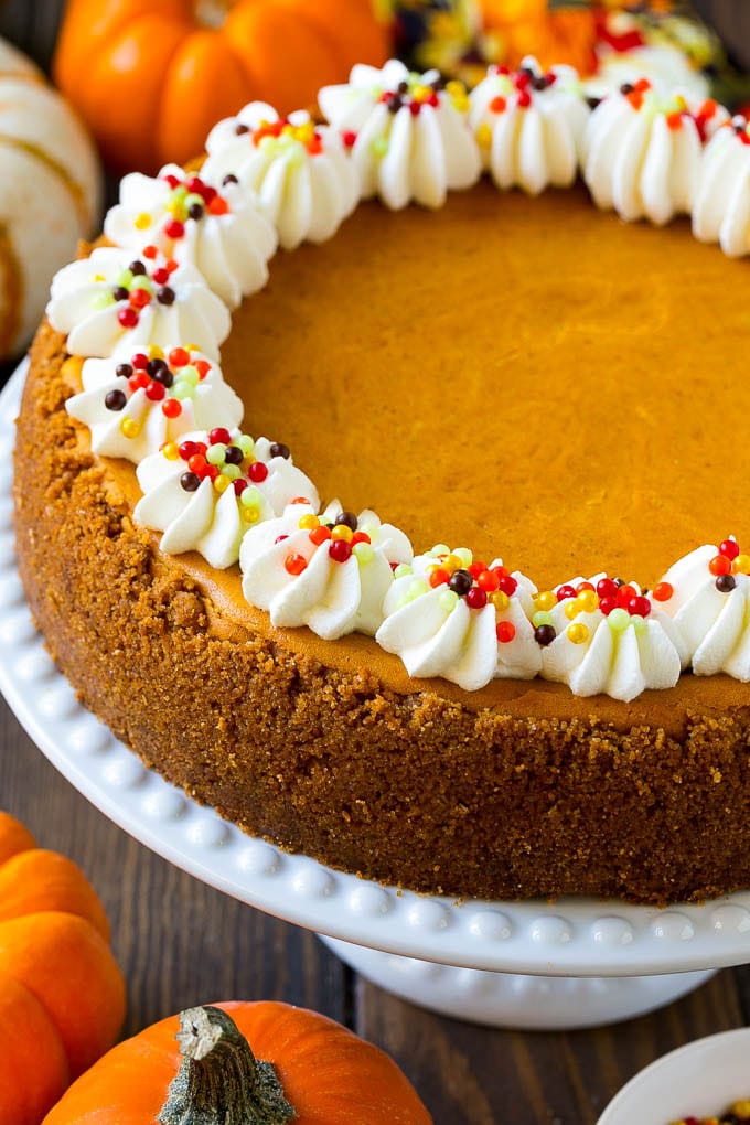 Pumpkin Cheesecake Recipe | Pumpkin Pie Cheesecake | Pumpkin Dessert #pumpkin #thanksgiving #dessert #cheesecake #fall #ezlod A pumpkin cheesecake on a cake stand topped with whipped cream and sprinkles.