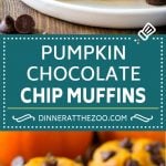 Pumpkin Chocolate Chip Muffins Recipe | Pumpkin Muffins | Chocolate Pumpkin Muffins #muffins #pumpkin #fall #chocolate #dessert #snack #ezlod