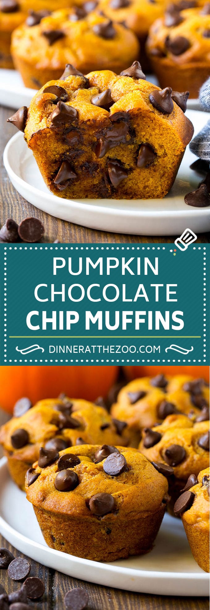 Pumpkin Chocolate Chip Muffins Recipe | Pumpkin Muffins | Chocolate Pumpkin Muffins #muffins #pumpkin #fall #chocolate #dessert #snack #ezlod
