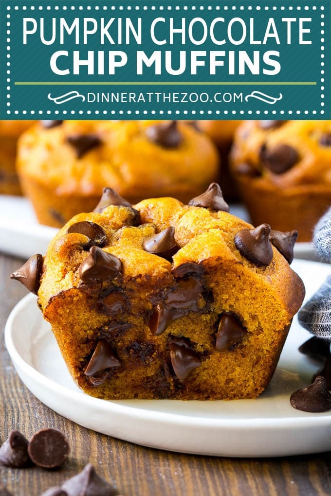 Pumpkin Chocolate Chip Muffins Recipe | Pumpkin Muffins | Chocolate Pumpkin Muffins #muffins #pumpkin #fall #chocolate #dessert #snack #ezlod