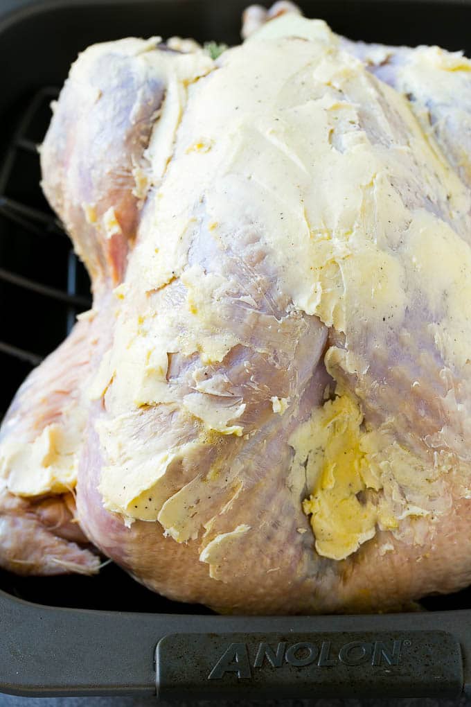 Roast Turkey Recipe | Thanksgiving Turkey | Holiday Turkey | Baked Turkey #turkey #thanksgiving #christmas #dinner #glutenfree #ezlod A whole raw turkey coated in seasoned butter.