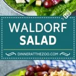Waldorf Salad Recipe | Apple Salad | Fruit Salad #salad #fruit #apples #grapes #lunch #ezlod #glutenfree