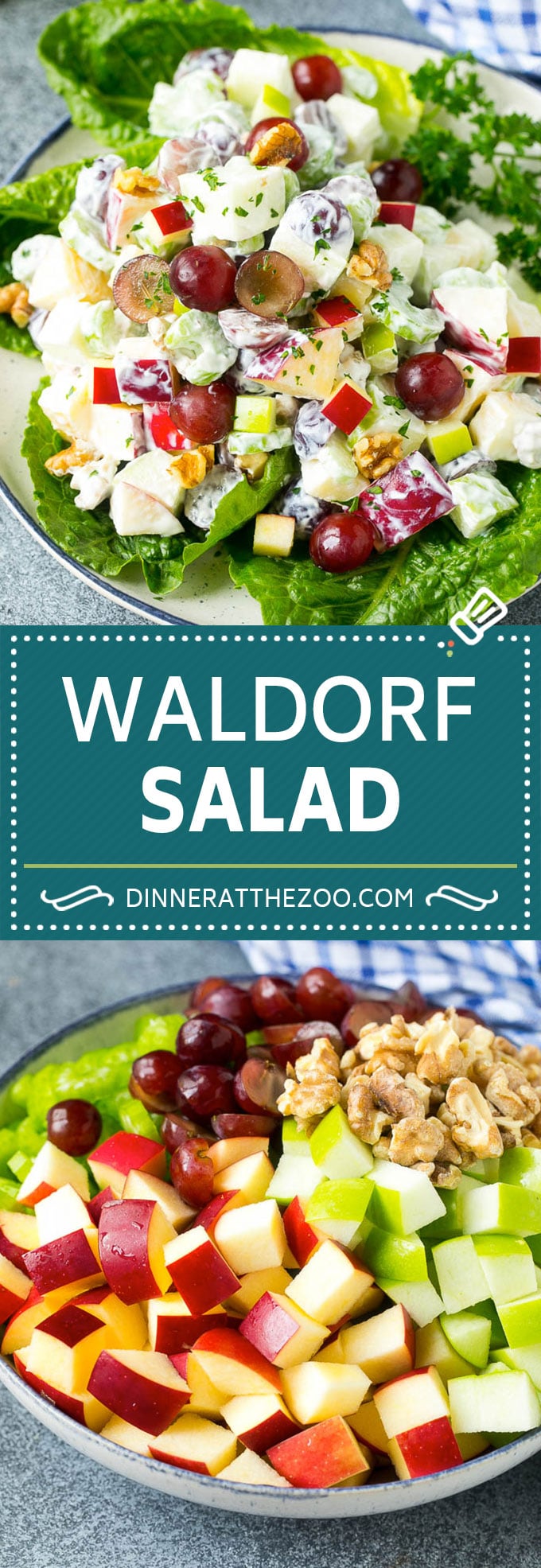 Waldorf Salad Recipe | Apple Salad | Fruit Salad #salad #fruit #apples #grapes #lunch #ezlod #glutenfree