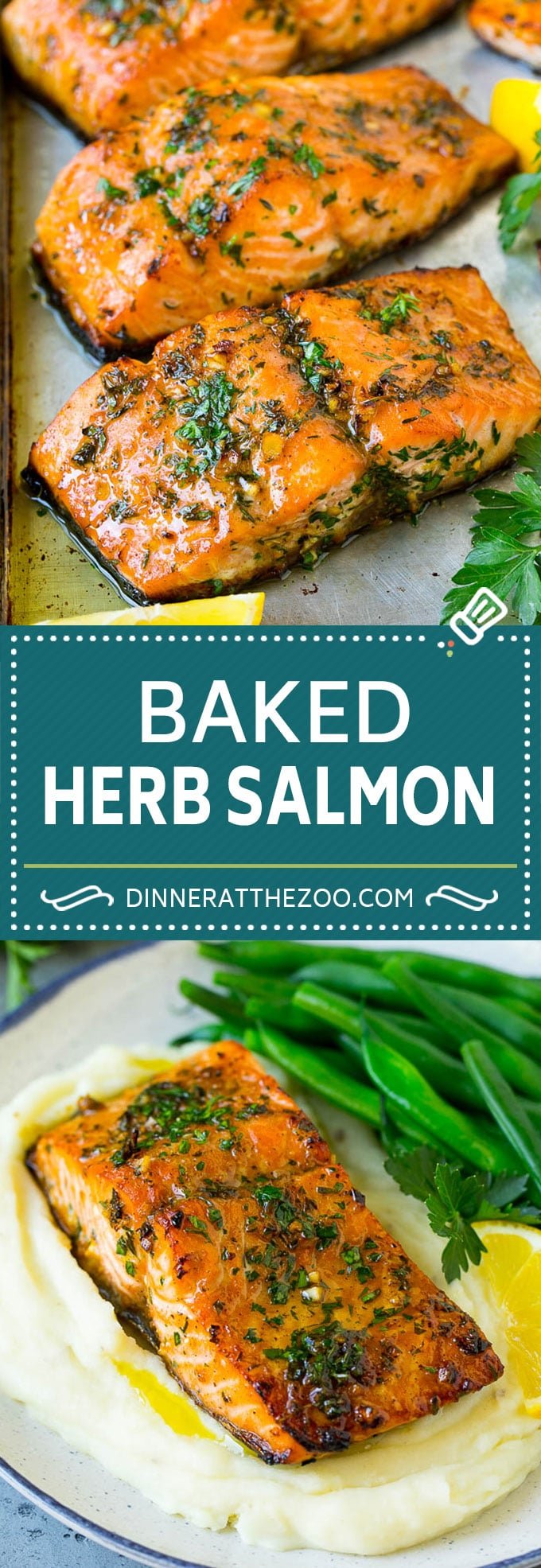 Baked Salmon Recipe | Garlic Salmon | Roasted Salmon #salmon #seafood #fish #dinner #ezlod
