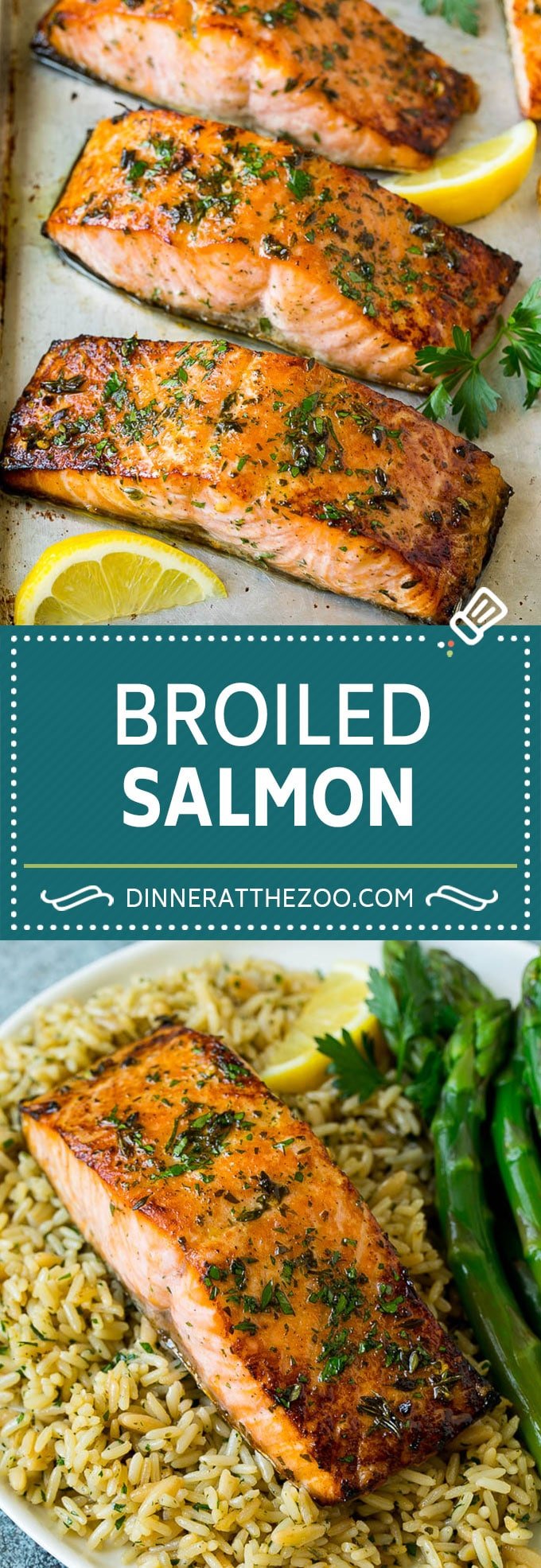 Broiled Salmon Recipe | Healthy Salmon Recipe #salmon #garlic #seafood #dinner #ezlod