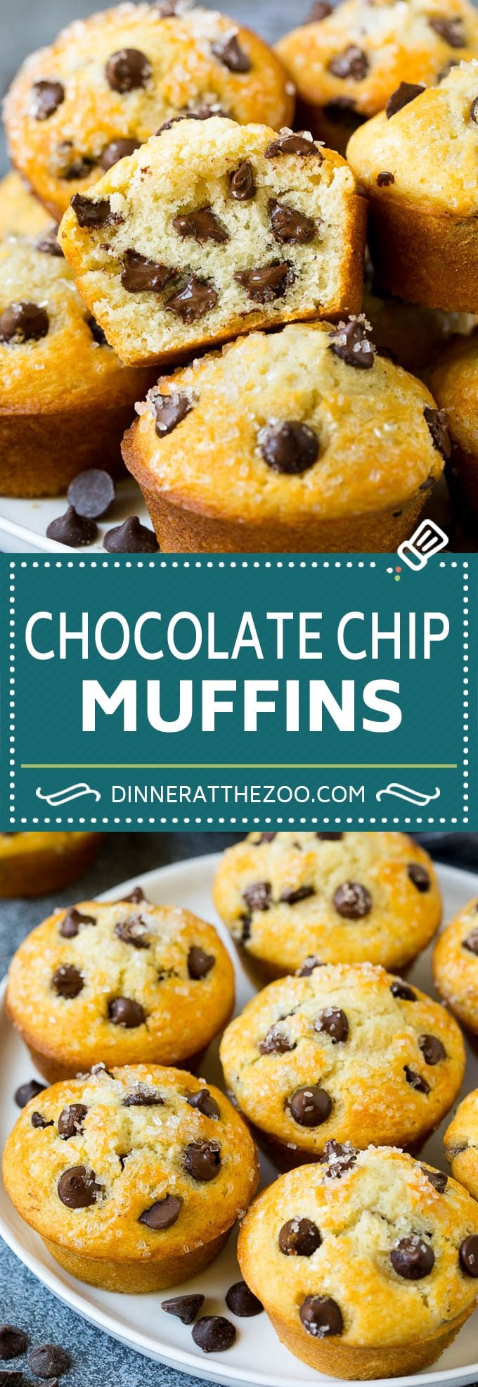 Chocolate Chip Muffins | Easy Muffin Recipe #chocolate #muffins #baking #breakfast #snack #ezlod