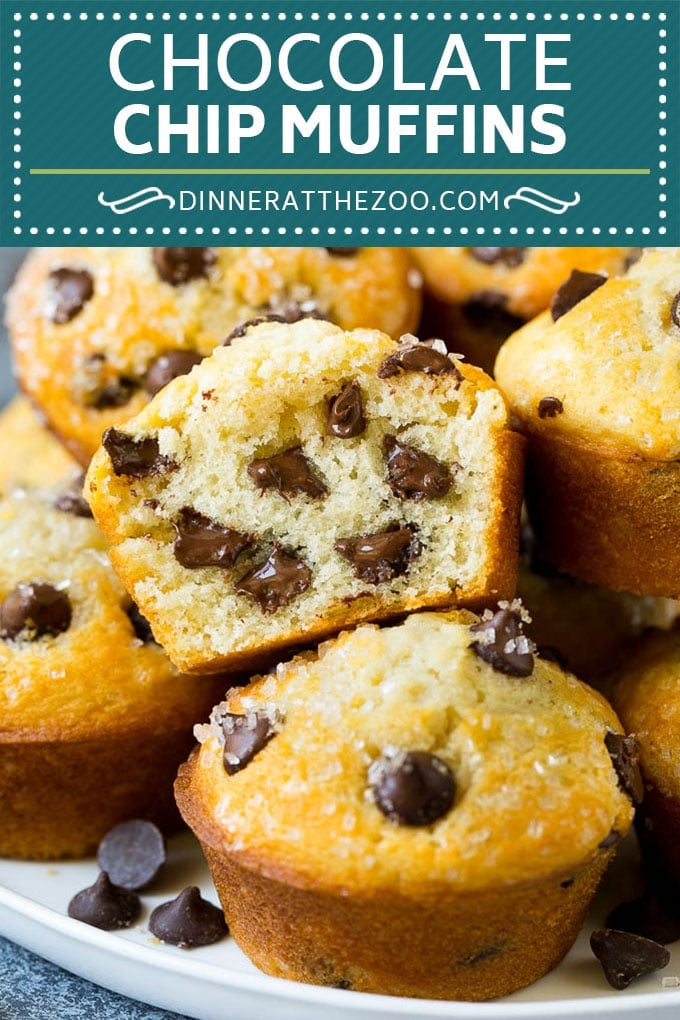 Chocolate Chip Muffins | Easy Muffin Recipe #chocolate #muffins #baking #breakfast #snack #ezlod