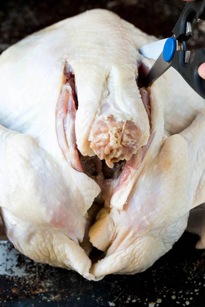 Spatchcock Turkey | Roasted Turkey | Thanksgiving Turkey #turkey #thanksgiving #dinner #fall #christmas #ezlod A scissors cutting the back bone out.
