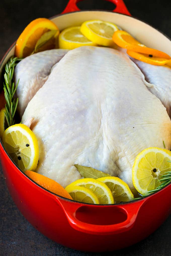 Thanksgiving Turkey Recipe | Roasted Turkey #turkey #thanksgiving #fall #dinner #ezlod A turkey in a pot of brine.