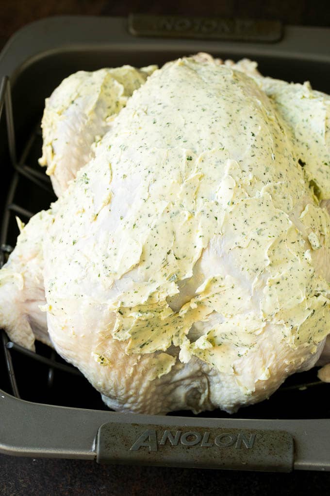 Thanksgiving Turkey Recipe | Roasted Turkey #turkey #thanksgiving #fall #dinner #ezlod A turkey coated in herb butter.