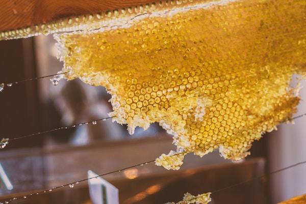 Wire in Hive Foundation