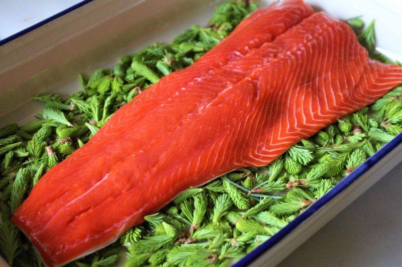 salmon ready for salt curing to make homemade gravlax