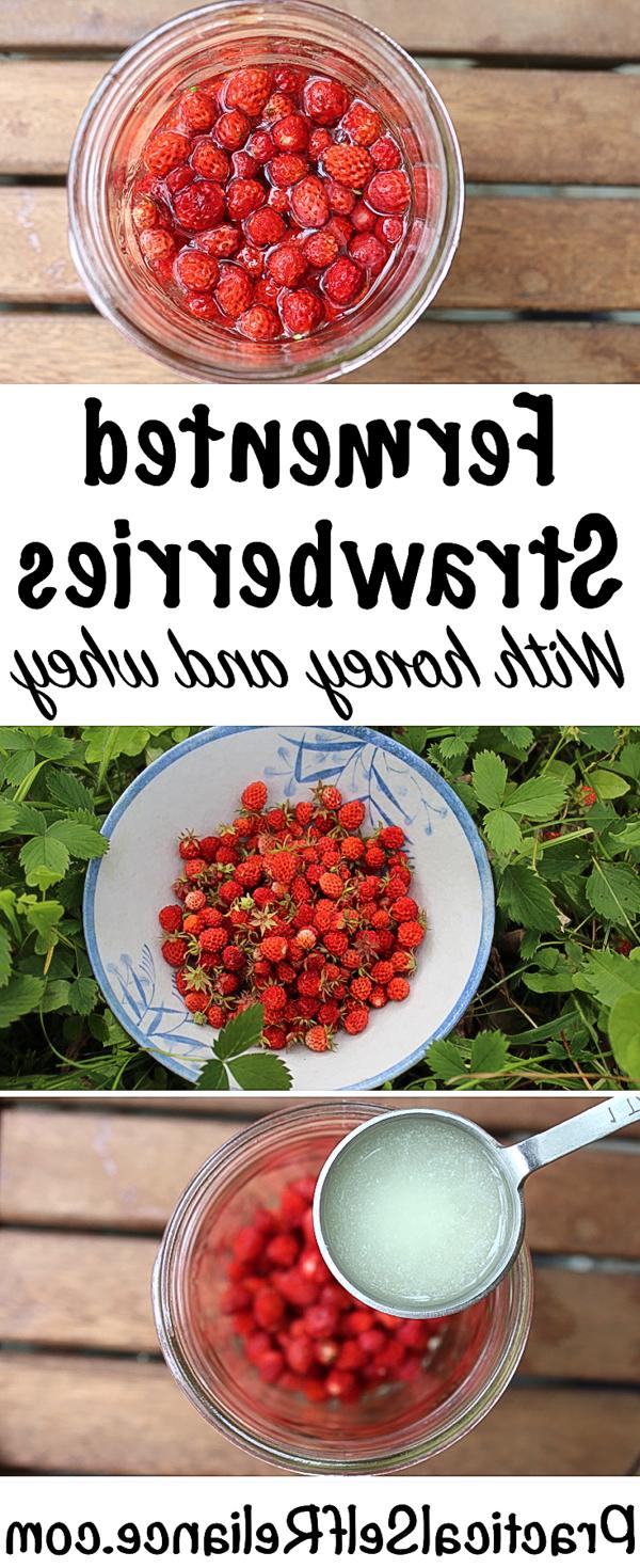 Ζυμωμένες Φράουλες με Μέλι και Ορό Γάλακτος ~ Γαλακτο-ζυμωμένα Μούρα #φράουλες #συνταγέςφράουλας #πραγματικόφαγητό #άγριεςφράουλες #προβιοτικά #υγιέςέντερο #αγροτικήζωή #αυτάρκεια