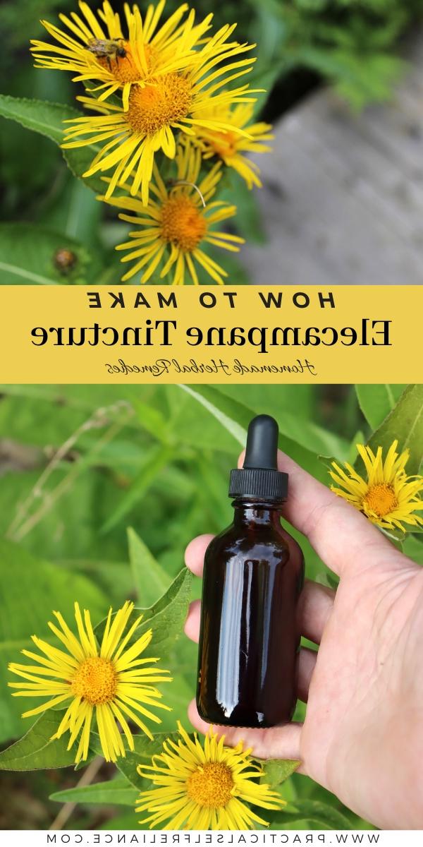 Πώς να Φτιάξετε Βάμμα Ελεκάμπανου