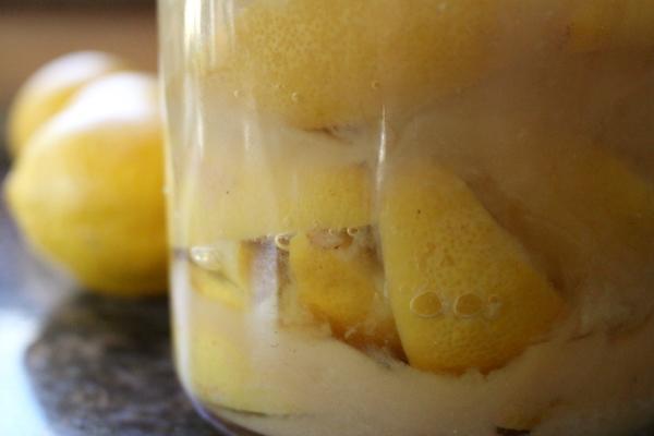 bubbling preserved lemons with live active cultures (probiotics)