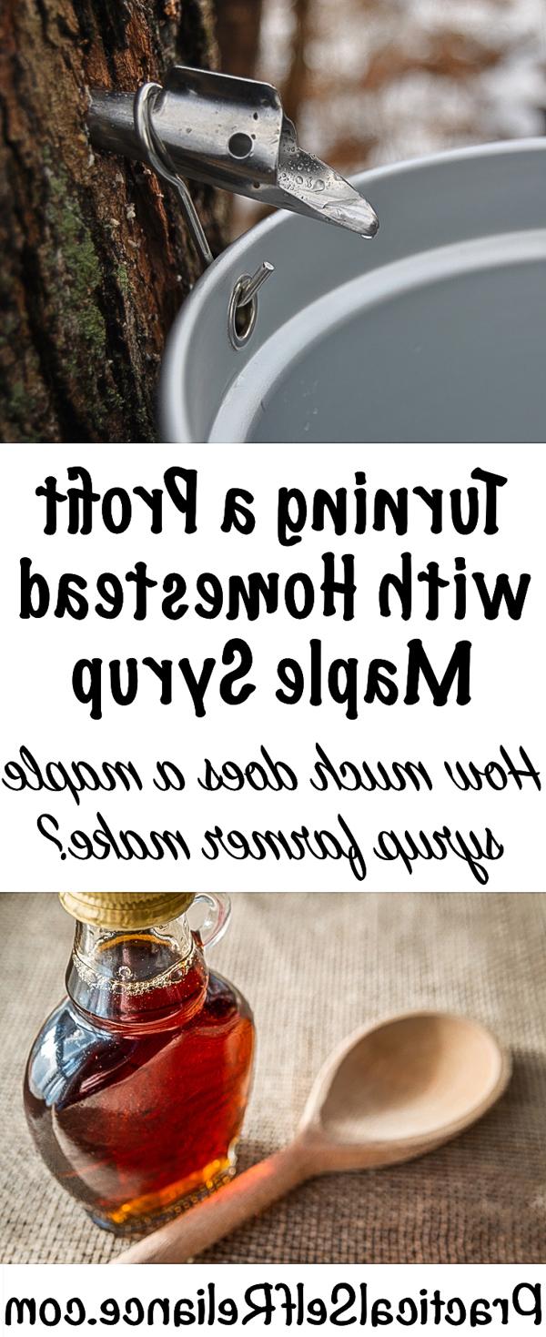 Είναι κερδοφόρα η ζαχαροποίηση σφενδάμου μικρής κλίμακας; 8 Turning a Profit with Homestead Maple Syrup #maplesyrup #canning #foodpreservation #homesteading #selfsufficiency #naturalsweetener #smallfarm #homesteadincome #moneymakingideas