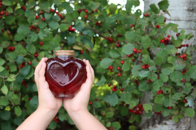 Hawthorn Syrup