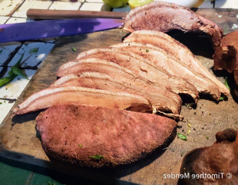 Αναζήτηση Μανιταριών του Συκωτιού (Fistulina sp.) 10 Cooking Beefsteak Mushrooms
