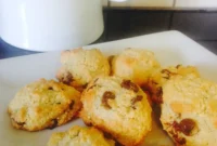 FIXATE Gluten Free Chocolate Chip Fix