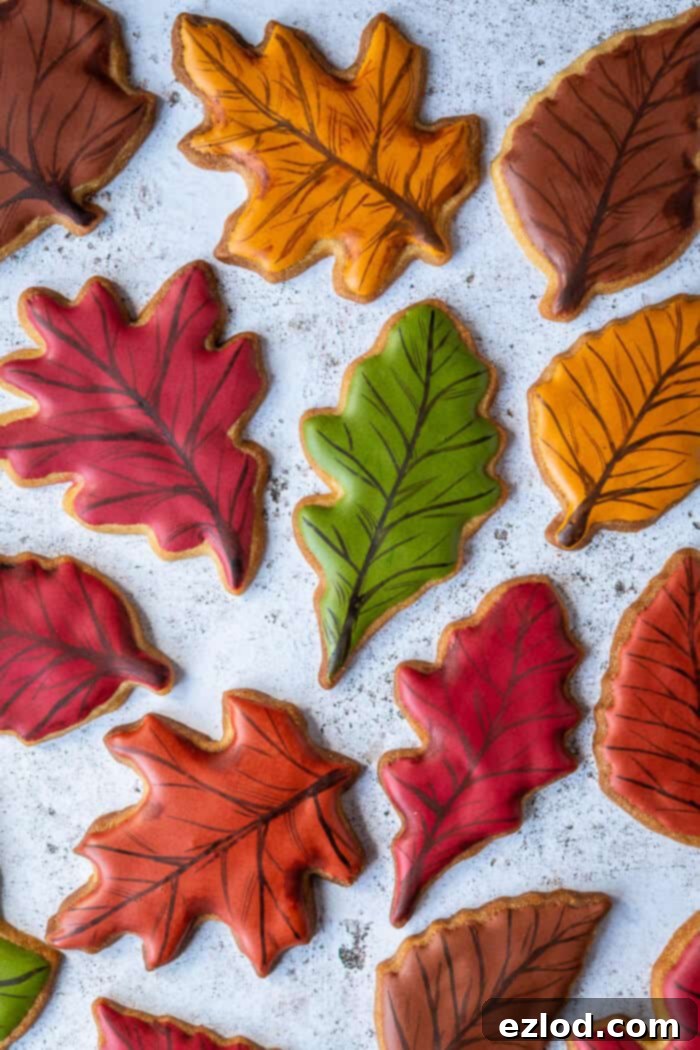 Coloured royal iced vegan maple autumn leaf cookies.