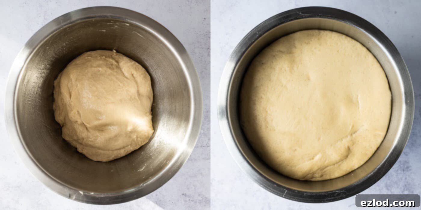 Step-by-step image illustrating the dough rising in a covered bowl, placed in a warm environment.