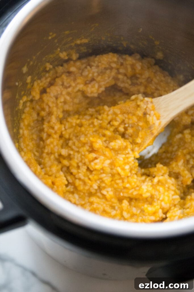 A close-up of creamy Instant Pot Butternut Squash Risotto in a bowl