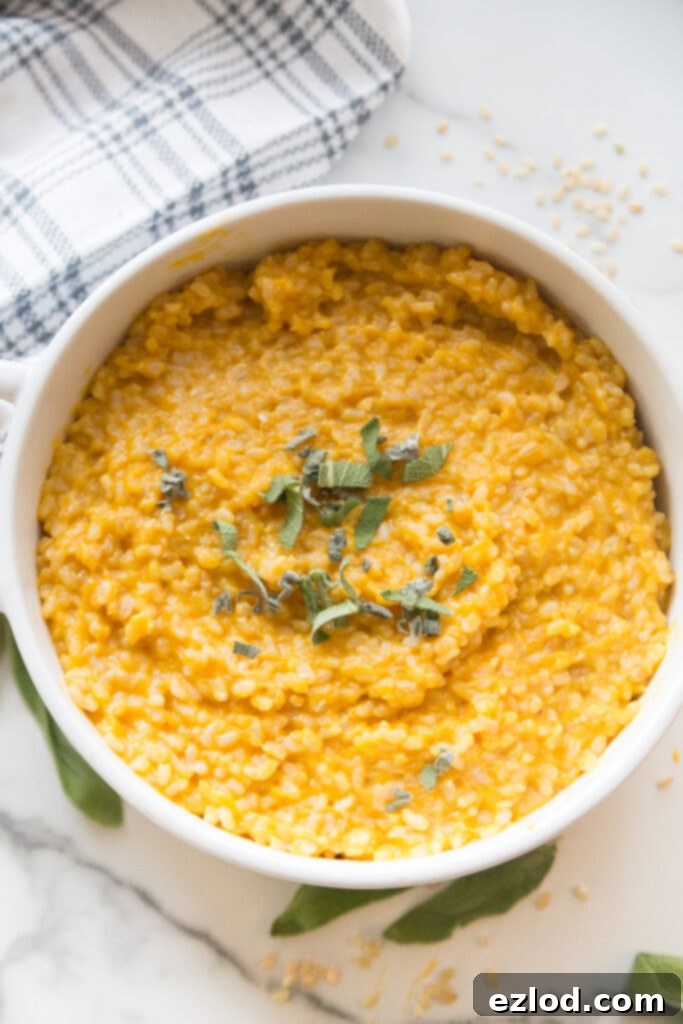 Serving of Instant Pot Butternut Squash Risotto in a white bowl