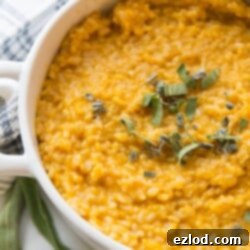Instant Pot Butternut Squash Risotto