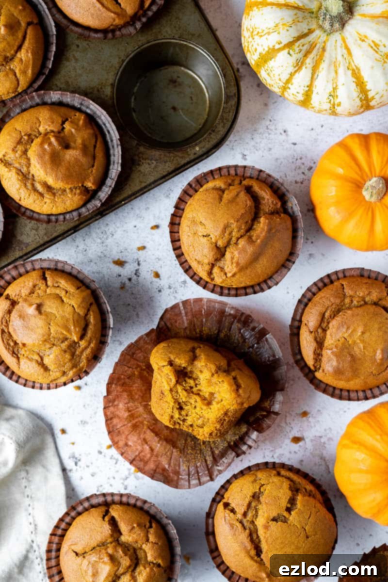 Delicious vegan pumpkin muffins arranged on a white surface, one with a delectable bite taken out, surrounded by charming mini pumpkins and a muffin tray.