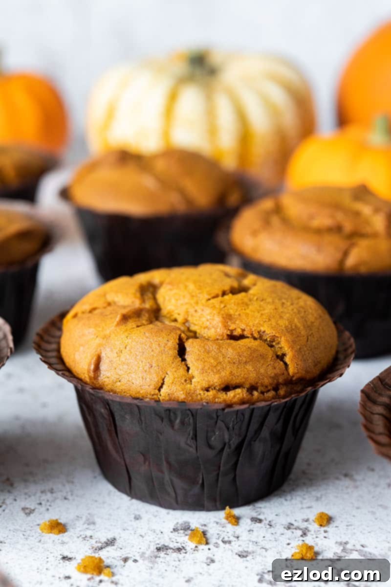 A close-up view of a perfectly baked vegan pumpkin muffin nestled in a rustic brown muffin liner, showcasing its moist texture.
