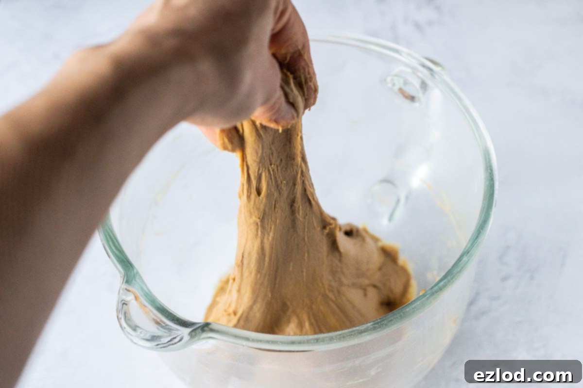 the stretchy, kneaded dough