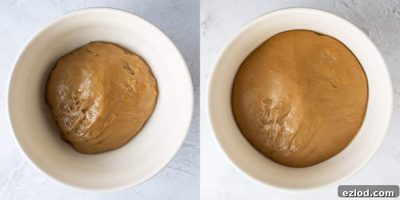 step 4 - letting the dough rise