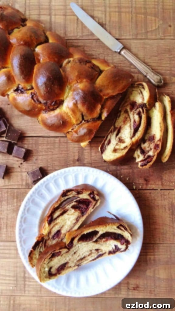 chocolate cherry challah braided bread