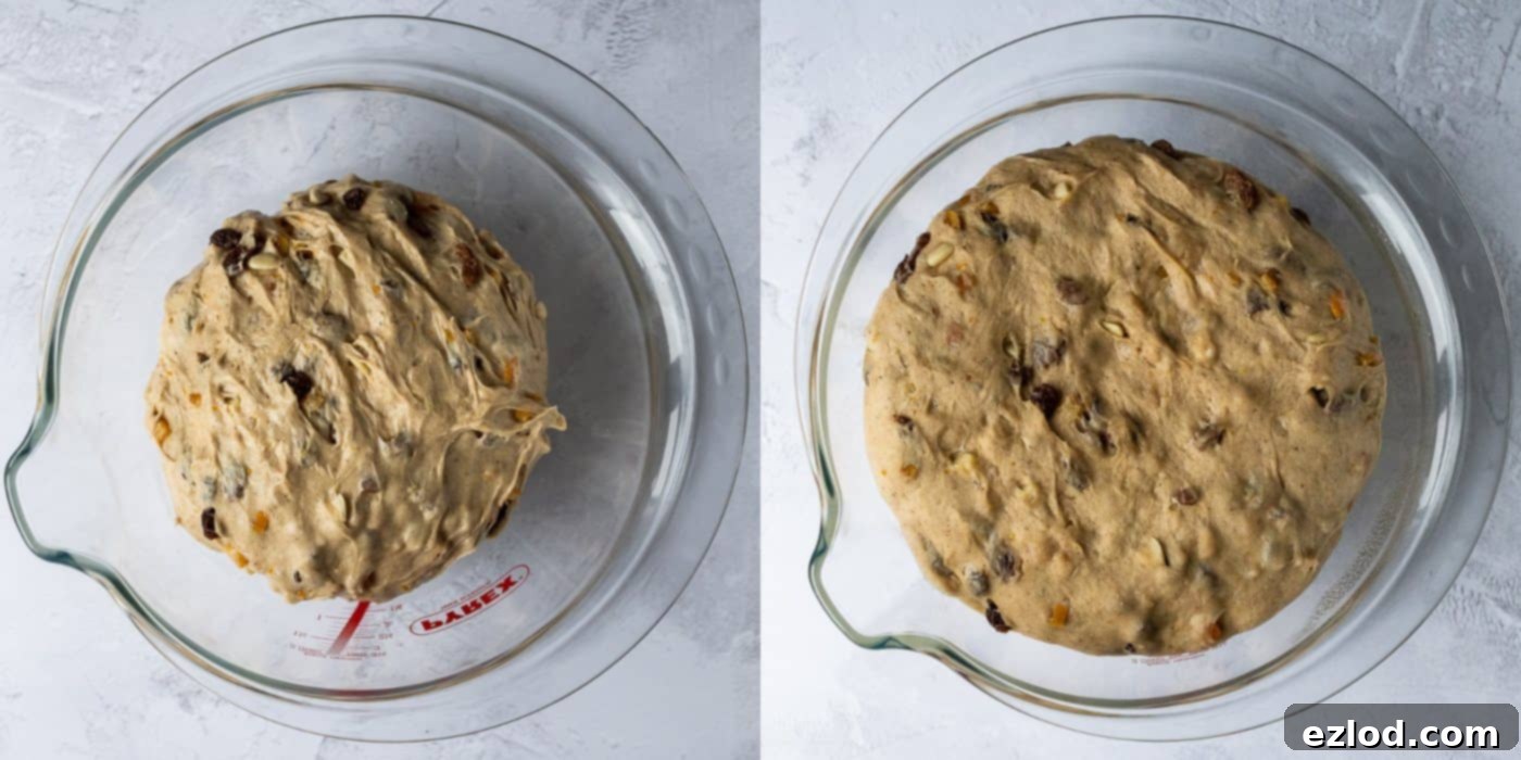 Step 4: Vegan stollen dough in a lightly oiled bowl, covered and undergoing its first slow rise in a warm environment.