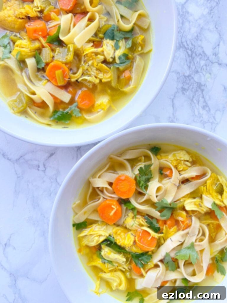 Overhead photo of two hearty bowls of Chicken Noodle Soup filled with sliced carrots, cilantro, egg noodles, and chicken with a beautiful yellow broth colored by Turmeric,