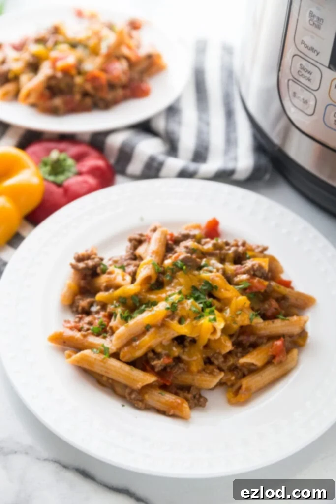 Instant Pot Enchilada Pasta in a bowl, topped with fresh cilantro, a quick and flavorful meal.