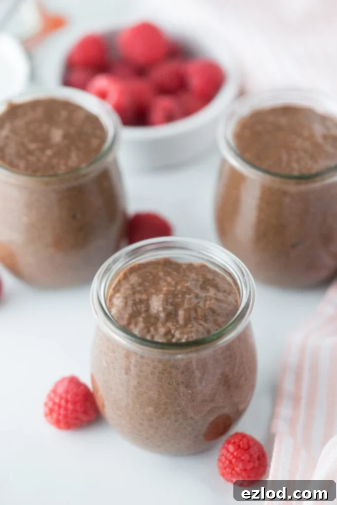 Chocolate Chia Pudding in a glass jar, topped with fresh berries, a perfect healthy pantry breakfast.