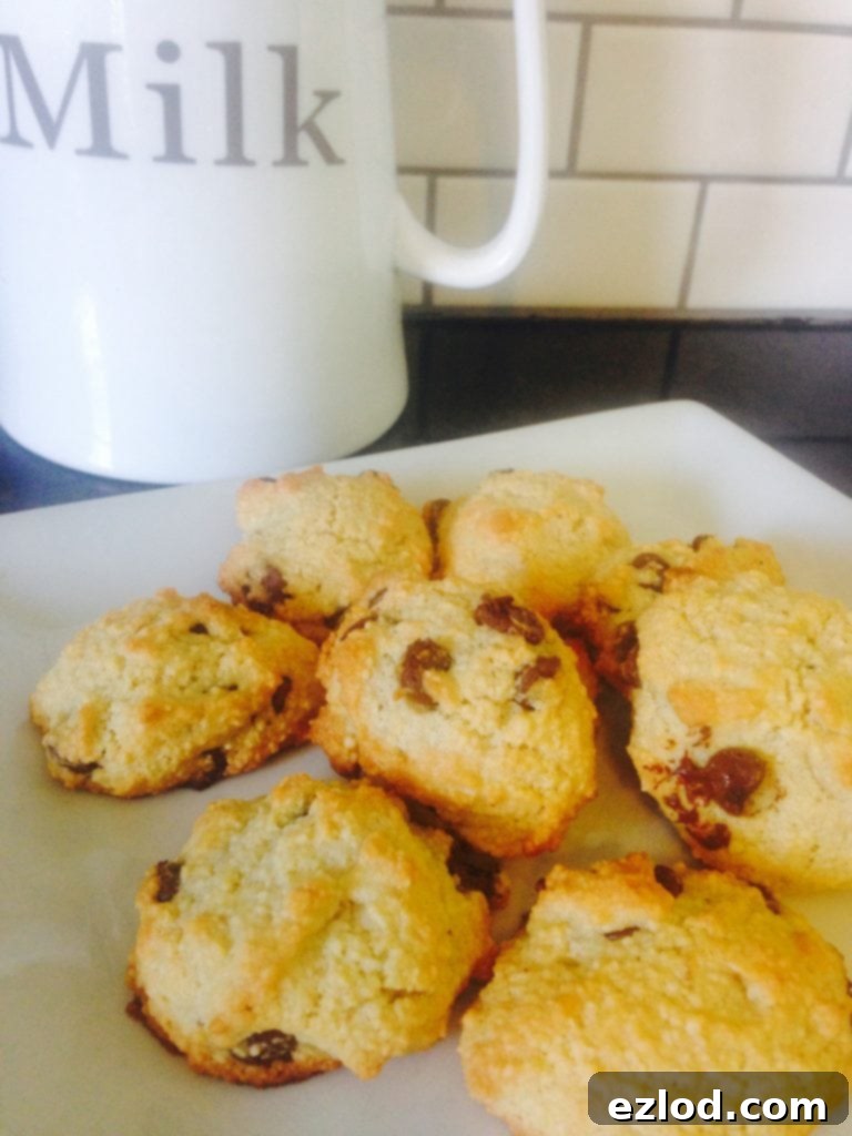 FIXATE Gluten Free Chocolate Chip Cookies - A 21 Day Fix approved treat recipe | ConfessionsOfAFitFoodie.com