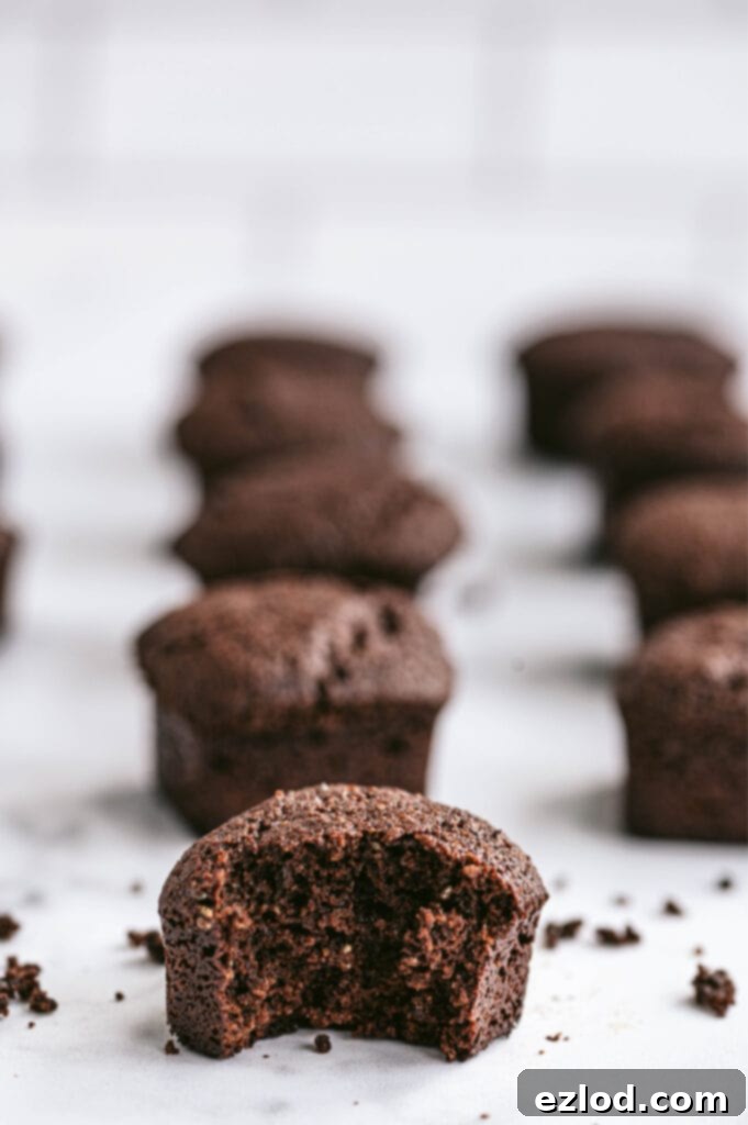 Healthy Brownies
