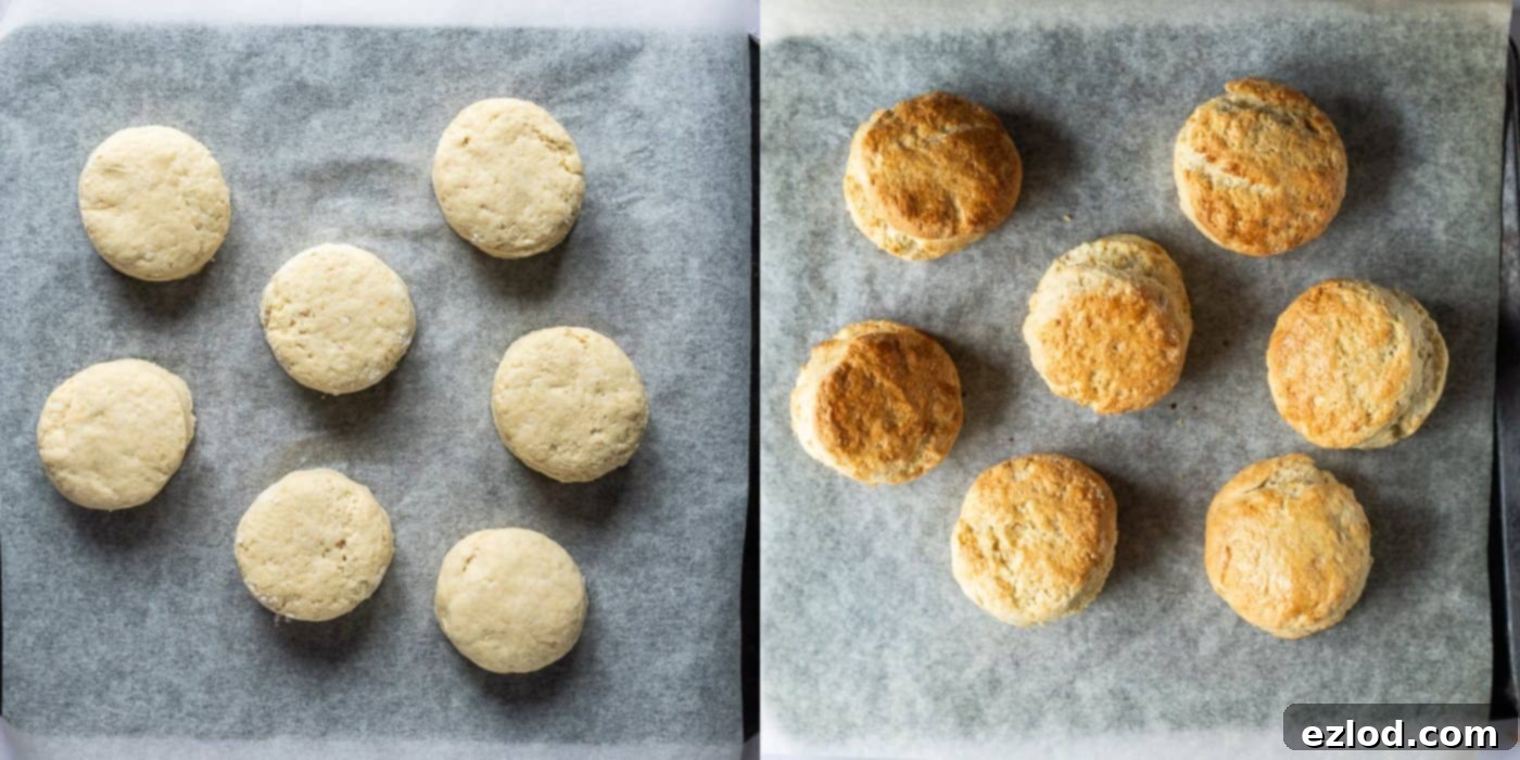 step 4 - baking the scones