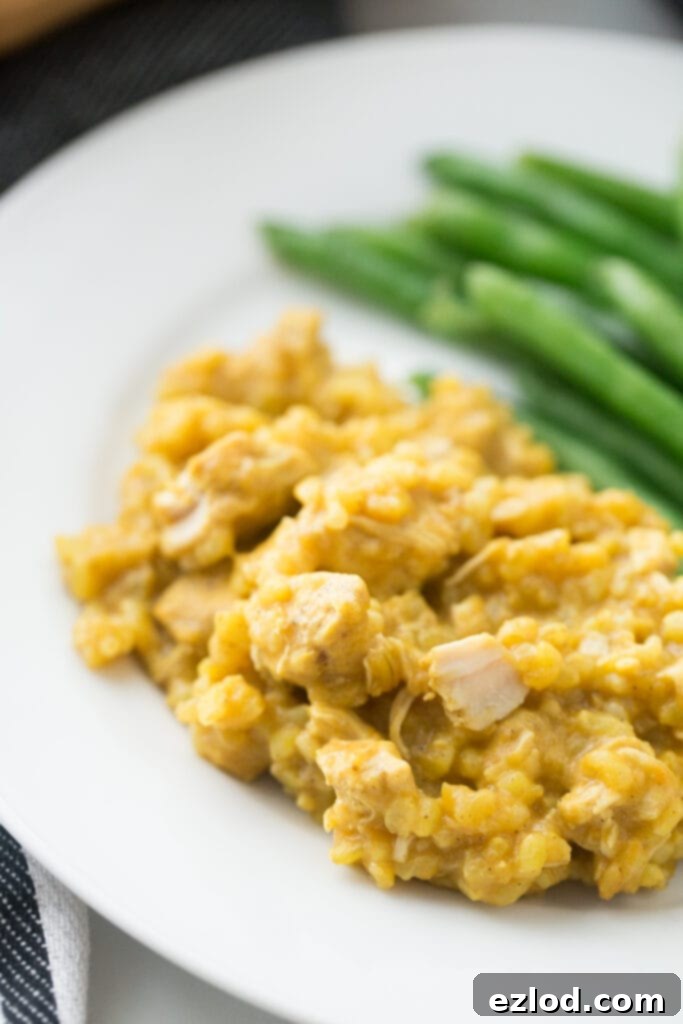 A close-up overhead shot of a plate brimming with creamy chicken curry and rice, beautifully plated with a side of crisp green beans, indicating a delicious and balanced meal.