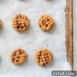Easy Vegan Gluten Free No Bake Peanut Butter Cookies 3 No Bake Peanut Butter Cookies with chocolate drizzle