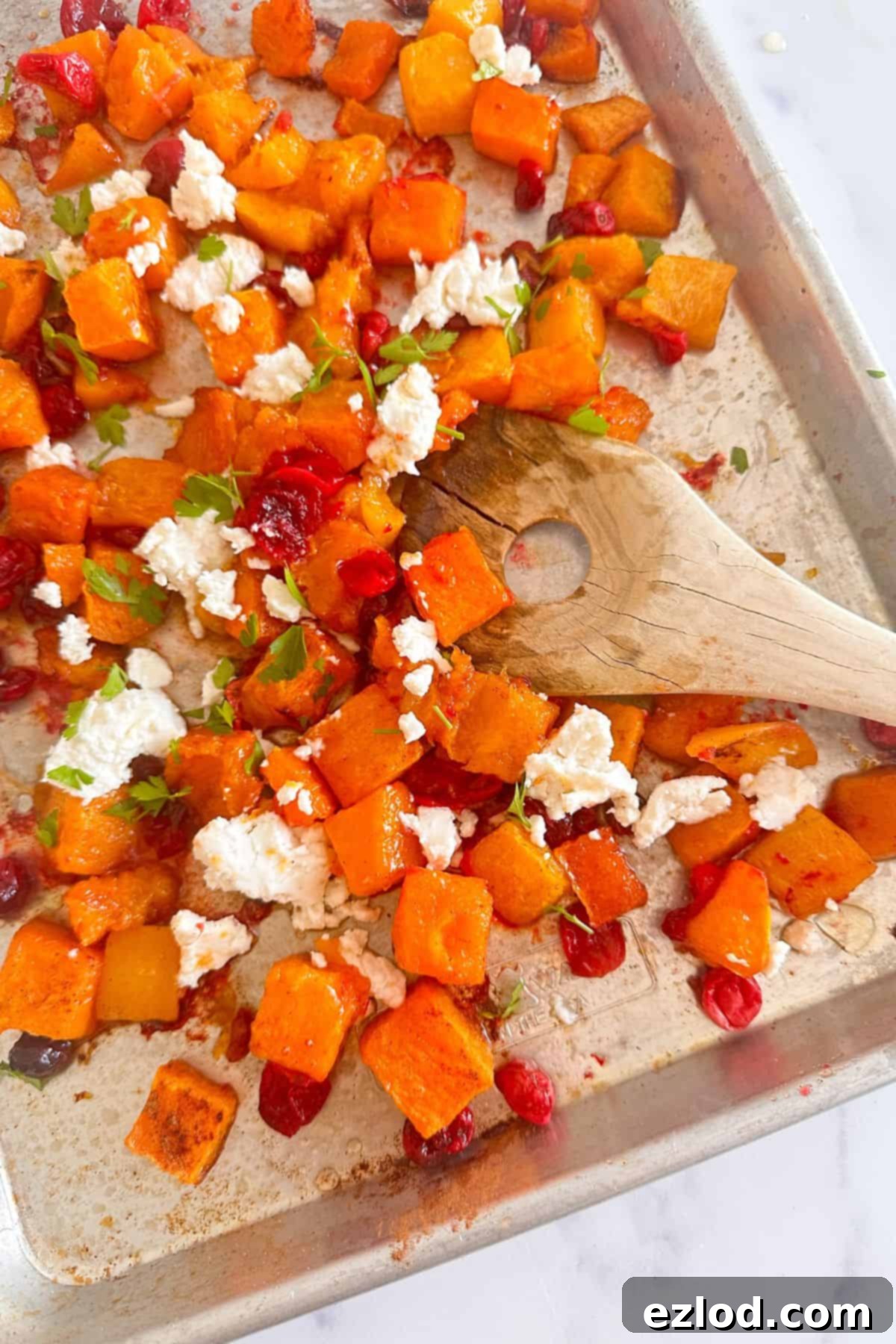 Sheet pan with roasted butternut squash and cranberries topped with goat cheese and fresh parsley.