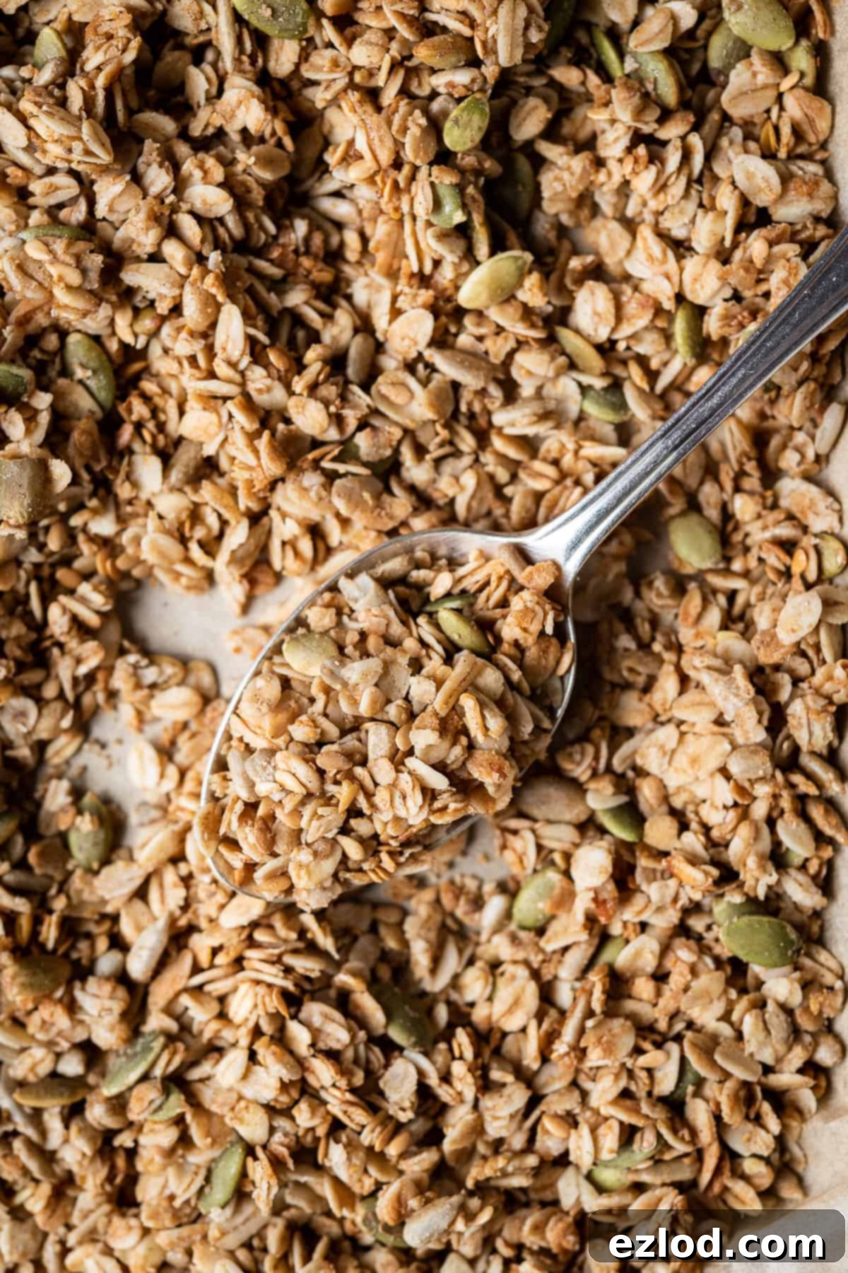 Close-up of a spoonful of golden vegan granola.