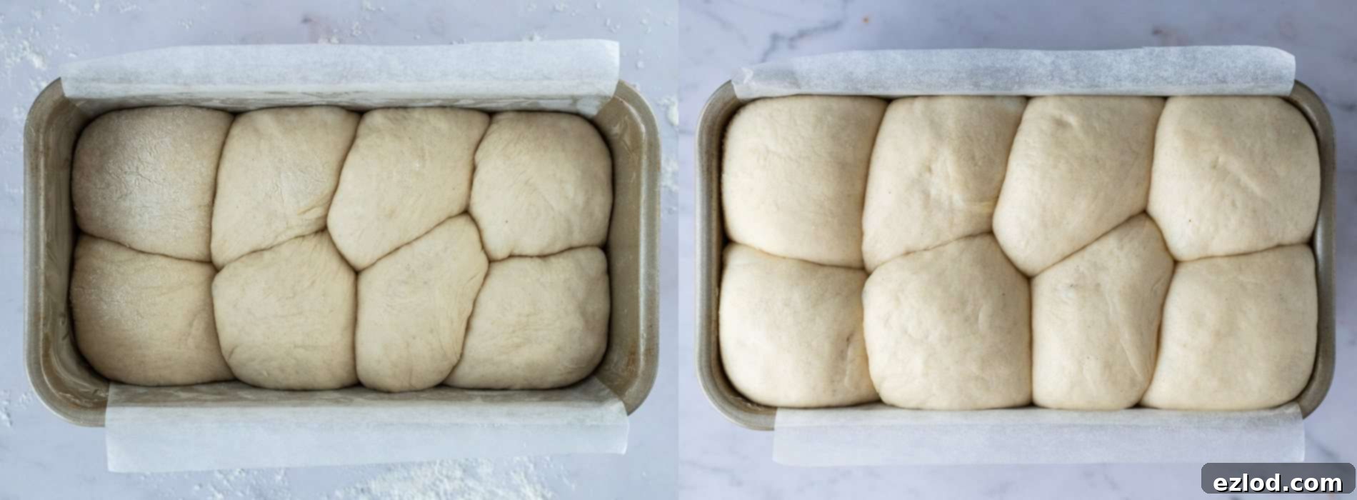 step 5 - giving the loaf it's second rise